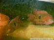 PHOTGAL3/c4.jpg